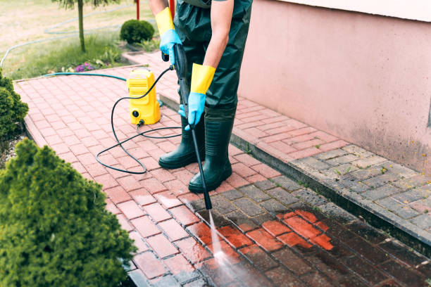 Best House Pressure Washing  in Gilbert, MN