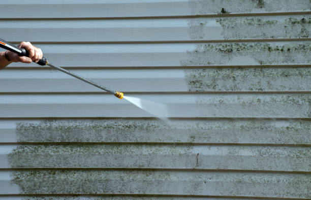 Best Residential Pressure Washing Services  in Gilbert, MN